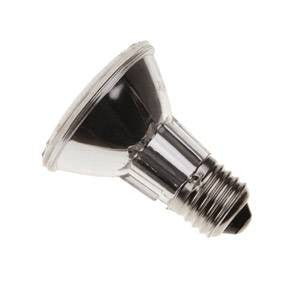 P2050SP-PK-CA - 240v 50w E27 Spot 10Deg Halogen - 10Pk Halogen Bulbs Casell - The Lamp Company