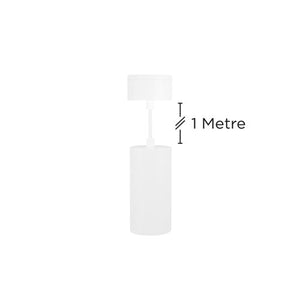 Integral LED Accentplus Spotlight S2 65Mm Diameter 130Mm Length Gu10 Led Base Surface Mounted Suspended Pendant 1M Cable White Finish  - ILNEV022