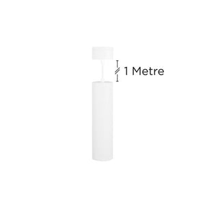 Integral LED Accentplus Spotlight S2 65Mm Diameter 235Mm Length Gu10 Led Base Surface Mounted Suspended Pendant 1M Cable White Finish  - ILNEV024