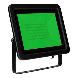 Bailey 145749 LED Floodlight Colour 50W Green IP65
