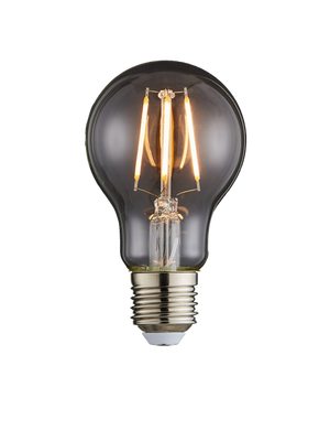 Forum Lighting Inlight 6W FILMNT LED WRM WHTE E27 GLS DIM - INL-36013 - Clear