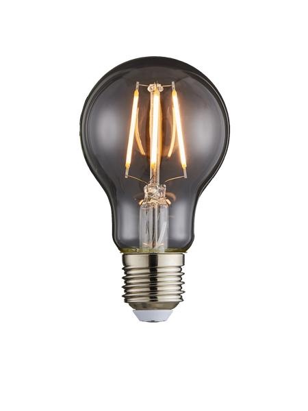 Forum Lighting Inlight 6W FILMNT LED WRM WHTE E27 GLS DIM - INL-36013 - Clear