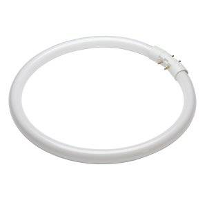 Circular Fluorescent Tube 55w T5 2Gx13 Philips Coolwhite/840 Light Bulb - 55TL5C840 - 305mm - 4000K Fluorescent Tubes Philips - Sparks Warehouse