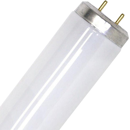 SPL G13 FL T12 38x1500mm 100V 4780Lm 65W 865 6500K 10000h 6500K Non-Dimmable - 496511265
