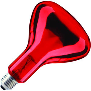 Schiefer Infrared E27 Reflector R95x130mm 230V 100W 5000h Red glass K Dimmable - 390951012