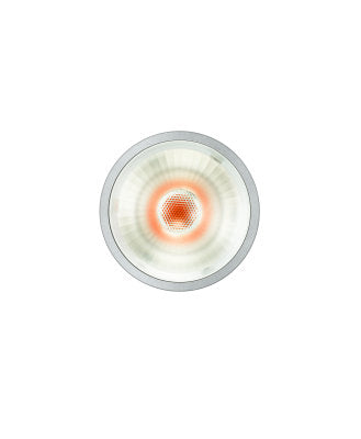 PL-CN50-COB- 900-D2W-40D-G1 4052899605787