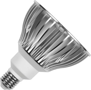 Schiefer 022014462 - LED E27 PAR38 COB 120x133mm 230V 1100Lm 14W 827 45deg AC Dim LED Bulbs Schiefer - The Lamp Company