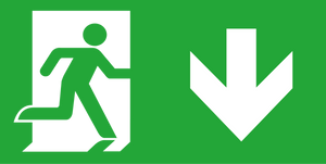 Bell 09003 - New Legend Down for Slim Exit Sign (spare accessory) Spectrum LED Emergency Slim/Standard Exit Signs Bell - The Lamp Company