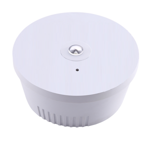 Bell 09065 - 3W Spectrum LED Emergency Downlight Surface/Recessed - Open Area/Corridor Non Maintained Spectrum LED Emergency Non Maintained Downlight Bell - The Lamp Company