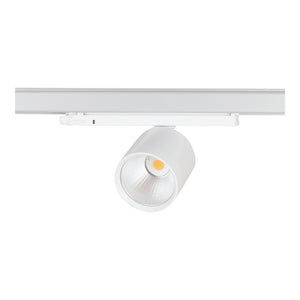 Bailey 142127 - Lival GA-016 Standard 34W/930 30D Flood White Bailey Bailey - The Lamp Company