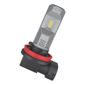 Bailey - 143844 - 67219CW LED PGJ19-1/2/3 12V 8.2W 2pcs Light Bulbs OSRAM - The Lamp Company