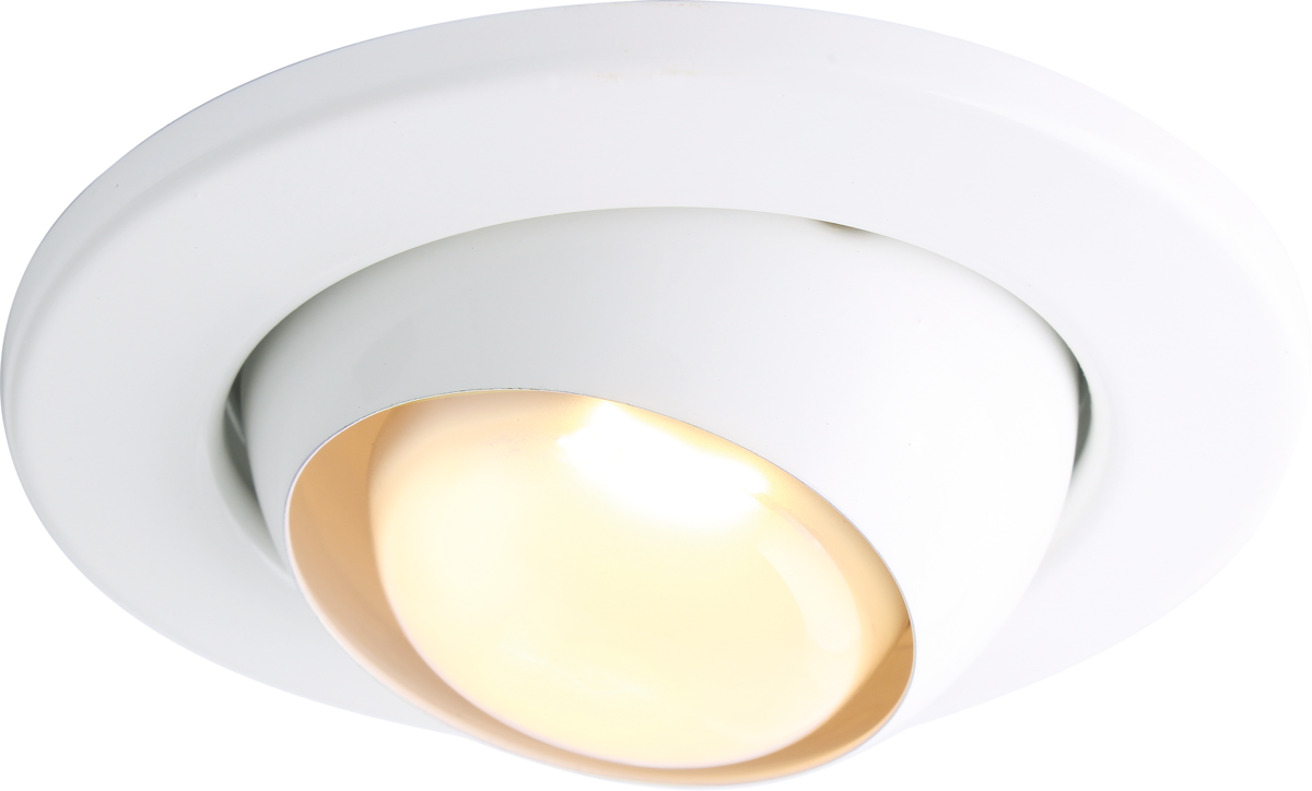 R80 best sale eyeball downlight