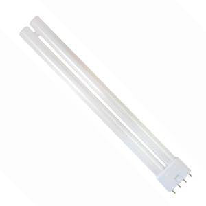PLL24-84-BE - BLL 840 4 Pin - 240v 24W 2G11 Push In Compact Fluorescent Bell - The Lamp Company