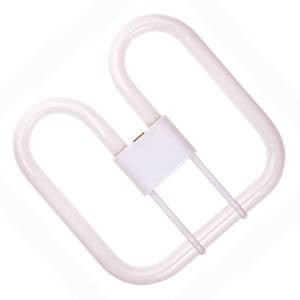 F382D4P-84-BE - CFL Square 4 Pin - 240v 38W GR10