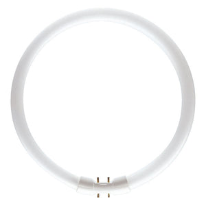 Bell T5 Circular 22W 865 Daylight