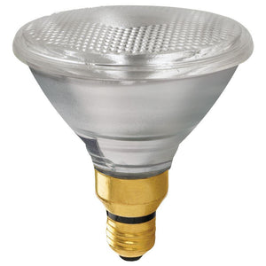 PAR38 120W ES / E27 Flood bulb - 120v Halogen Bulbs Casell - The Lamp Company