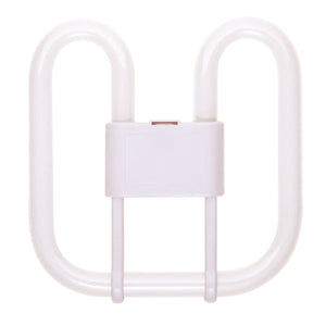 2D Square 4-Pin 240V 16W 3,500K  Other - The Lamp Company