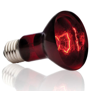 50W R20 I/R NOCTURNAL  Other - The Lamp Company