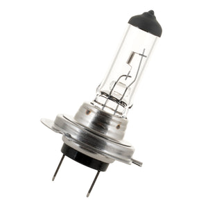 Bailey - 70100426966 - Reliable PX26d H7 24V 70W Clear Light Bulbs GE - The Lamp Company