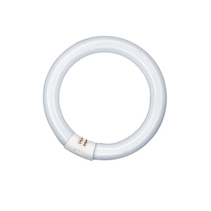 Bailey - FC032840/02 - LUMILUX© T9 C 32 W/840 G10Q Light Bulbs OSRAM - The Lamp Company