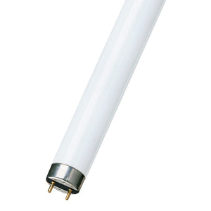 Bailey - FT018965GRA/01 - MASTER TL-D 90 Graphica 18W/965 SLV/10 Light Bulbs PHILIPS - The Lamp Company