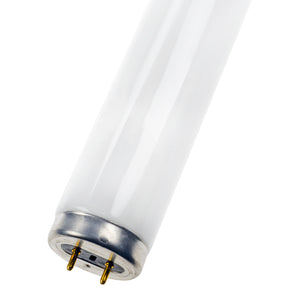 Bailey - FT040BL36848/03 - TL T12 G13 40W BL368 48" (1200mm) Light Bulbs Sylvania - The Lamp Company