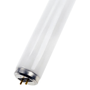 Bailey - FT01810S/01 - Actinic BL TL-D 18W/10 Secura 1SL/25 Light Bulbs PHILIPS - The Lamp Company
