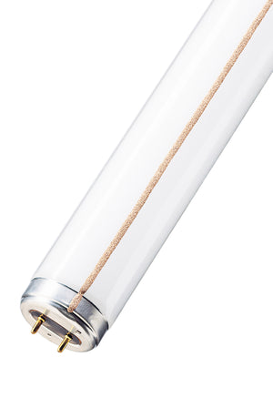 Bailey - FT040CWM/01 - TL-M RS 40W/33-640 SLV/25 Light Bulbs PHILIPS - The Lamp Company