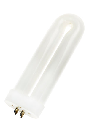 Bailey FUL08T6BL - U-Shaped 4Pins 8W T6 42x145 Blacklight Bailey Bailey - The Lamp Company