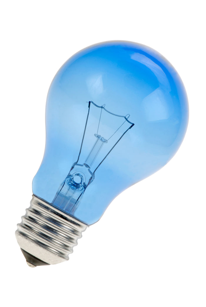 Bailey G27240100DL - GLS E27 A60 230V 100W Daylight