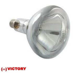 IR240250E-2-VI - 240v 250w E27 Clear Hard R125