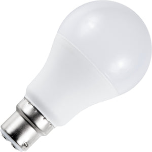 Schiefer LB226081027 - LED Ba22d GLS A60x110mm 100-240V 810Lm 10W 220deg AC 827 Opal Non-Dim LED Bulbs Schiefer - The Lamp Company