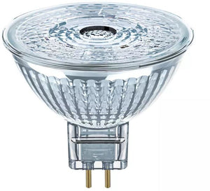 P MR16 DIM 4.9 W/940 GU5.3 LED Spot Bulbs Ledvance - The Lamp Company