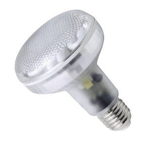 R8015ES-83-ME - 240v 15w E27 80mm Col:83 Clear Front Energy Saving Light Bulbs Megaman - The Lamp Company