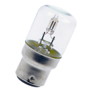 Bailey - NB60220GC - B22d T27X60 Neon Glass Clear 220V Light Bulbs Bailey - The Lamp Company