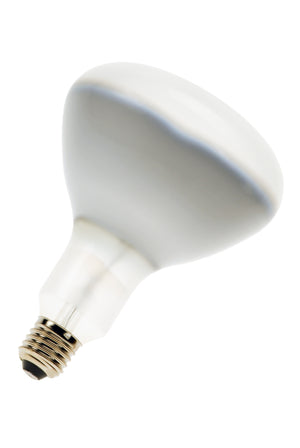 Bailey - P220PF217E44/01 - PF217E/44 E27 220V 250W Frosted Light Bulbs PHILIPS - The Lamp Company