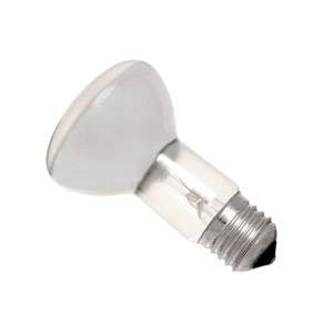 R6440ES - 240v 40w E27 Diffused 30 Degree Incandescent Other - The Lamp Company