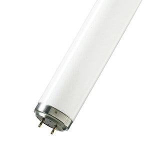 4' 40W T12 R10 SAFELIGHT  Other - The Lamp Company