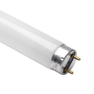 F14T5-83SS - 14w T5 549mm Warm White Shatter Shield Fluorescent tube