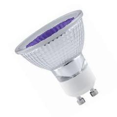 GU10 50W Spot Bulb - Purple