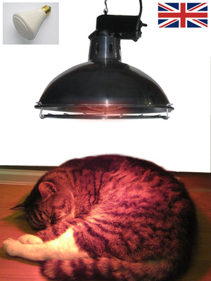 Leisure Heating Pet Heater with 150W Dull Emitter and 2 Heat Settings